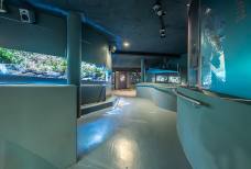 Nationalparkhaus aquaprad - Rampe
