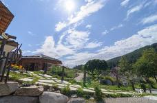 Bergila - Giardino delle erbe - Rampa