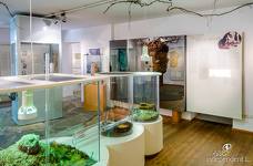 Naturparkhaus Trudner Horn - Ausstellung Erdgeschoss