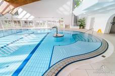Alpinpool - Piscina