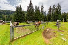 Hotel Tirler - Kinderspielplatz und Streichelzoo