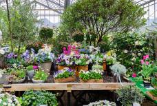 Wintergarten & Garten